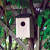 Nature's Market Bird Nesting Box(3)